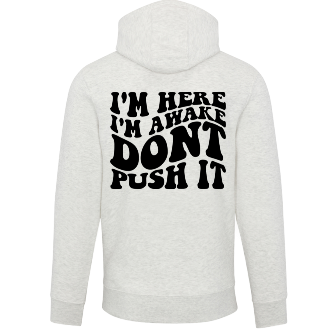 LS14001 Lane Seven Unisex Premium Hoodie