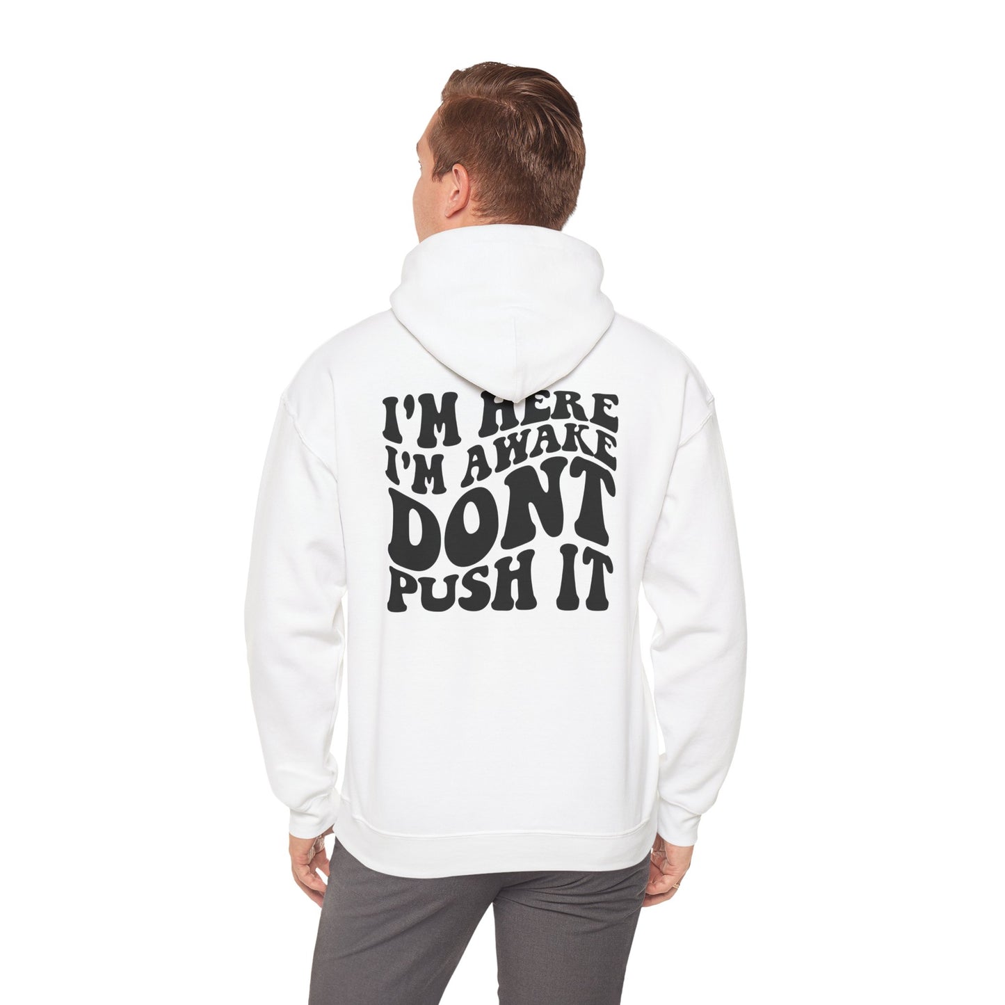 LS14001 Lane Seven Unisex Premium Hoodie