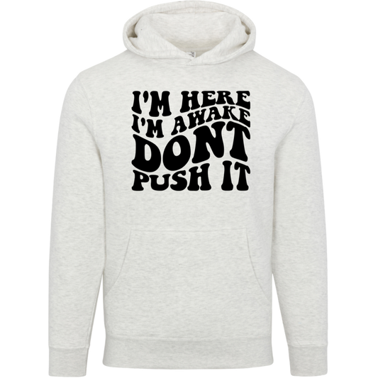LS14001 Lane Seven Unisex Premium Hoodie